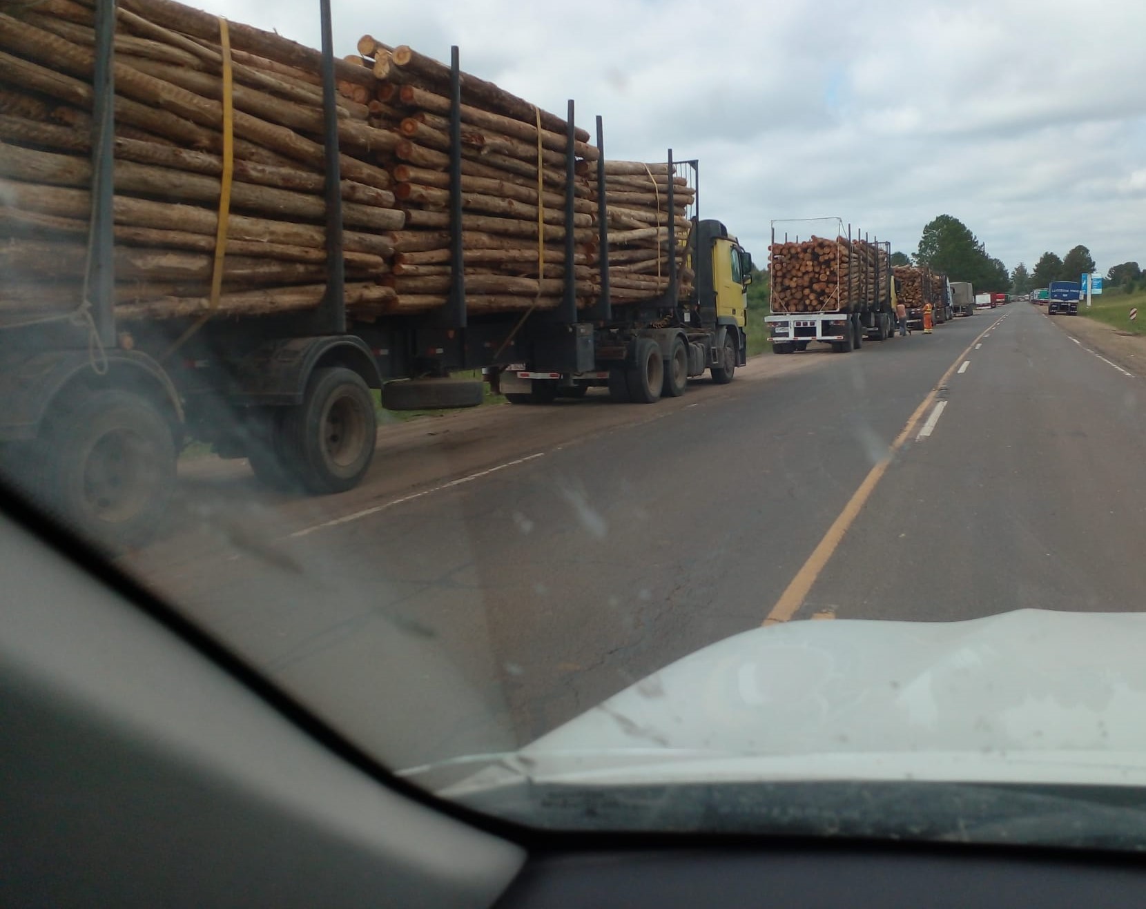 IRONÍA EXQUISITA: Gualeguaychú es el mayor exportador argentino de madera a Botnia (1)