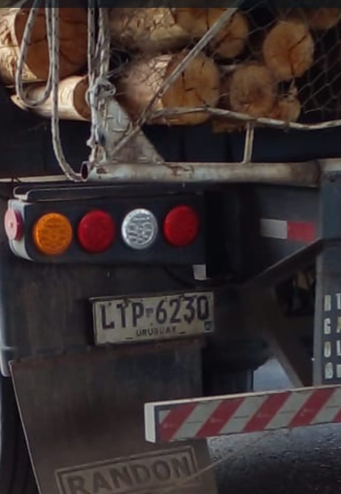 IRONÍA EXQUISITA: Gualeguaychú es el mayor exportador argentino de madera a Botnia (2)